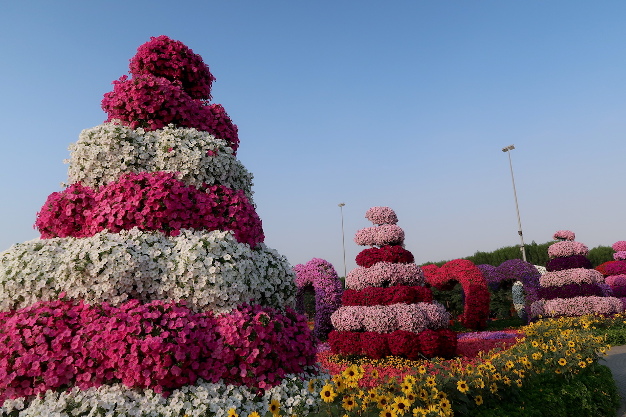 kwiaty dubai miracle garden